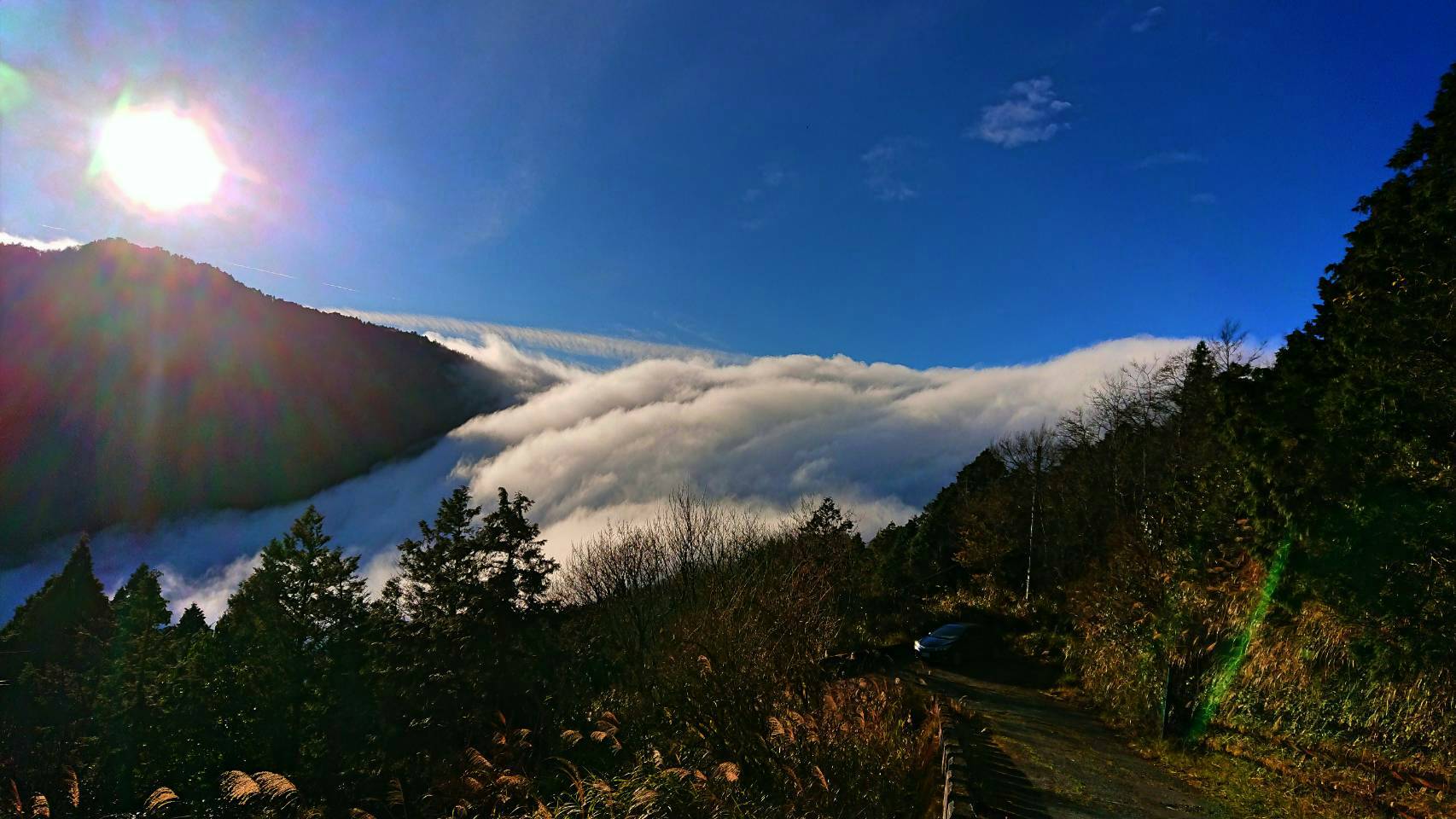 太平山2020年體育活動評選定案 鐵人三項協會6/6辦太平山雲端漫步活動