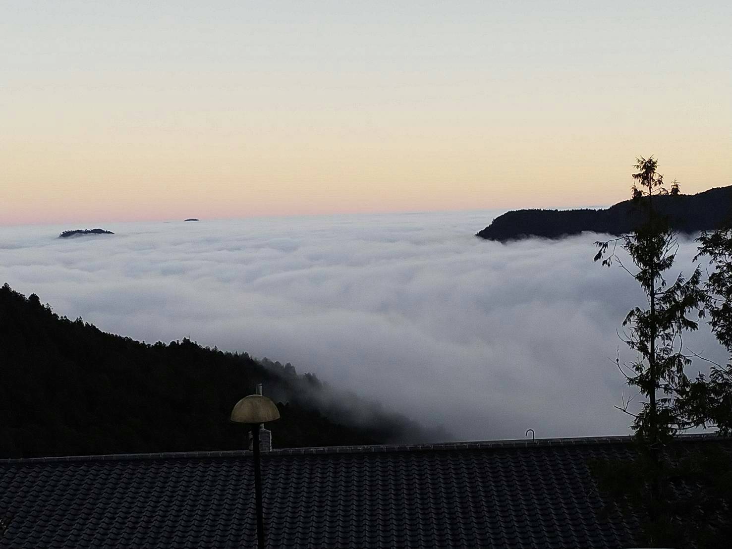 太平山2020年體育活動評選定案 鐵人三項協會6/6辦太平山雲端漫步活動