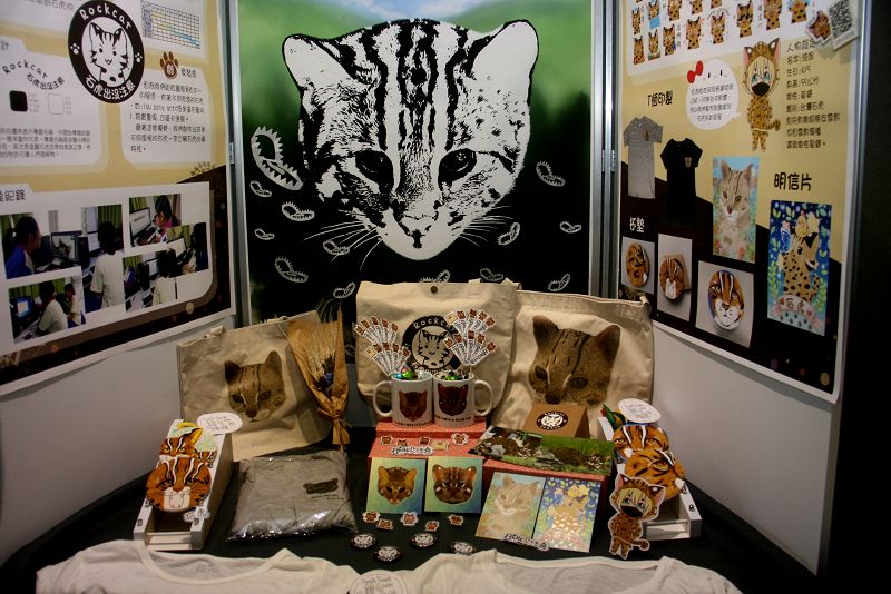 石虎出沒注意希望喚起野生動物保護