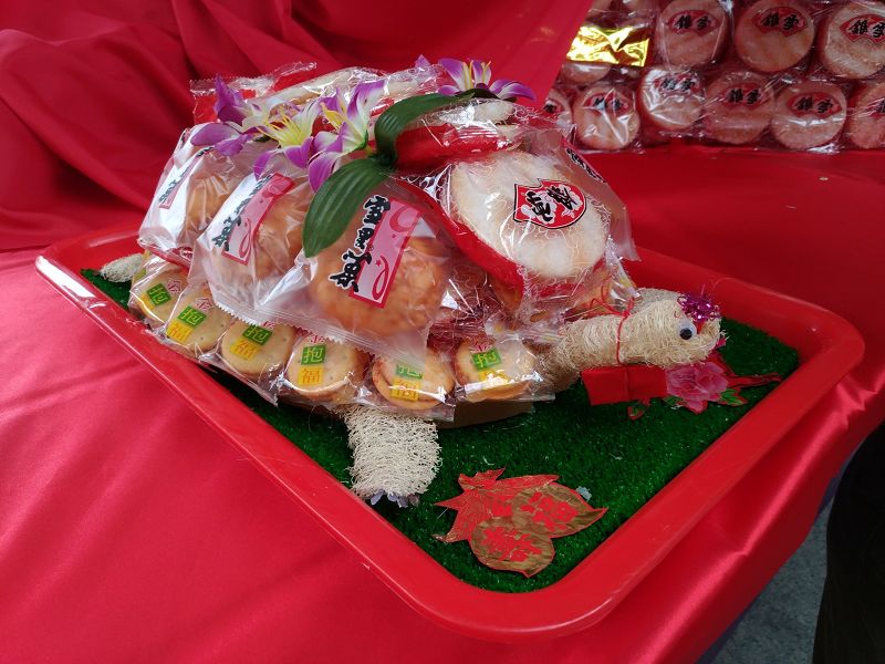 小米果龜模樣超可愛