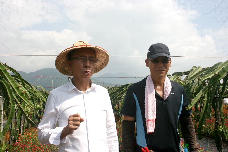 三星鄉長黃錫墉說明種植馬齒牡丹妙用