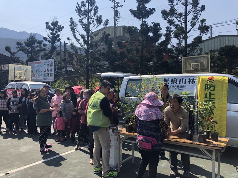 民眾排隊領取櫻花苗