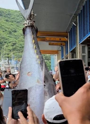 å®œè˜­ç¬¬ä¸€é®ªæž—å§¿å¦™ç¸£é•·4 16æ‹è³£183å…¬æ–¤é»'é®ªé­š è'›ç'ªè˜­æ–°èžç¶²
