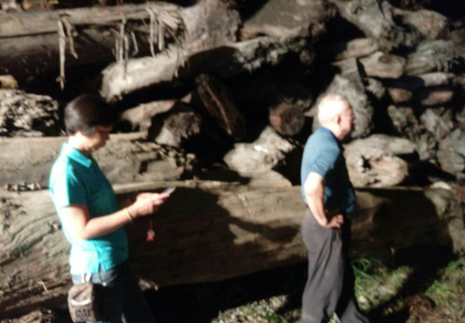 上千萬珍木險遭祝融 林管處長賴錦祿率課長傅正儀坐鎮救災