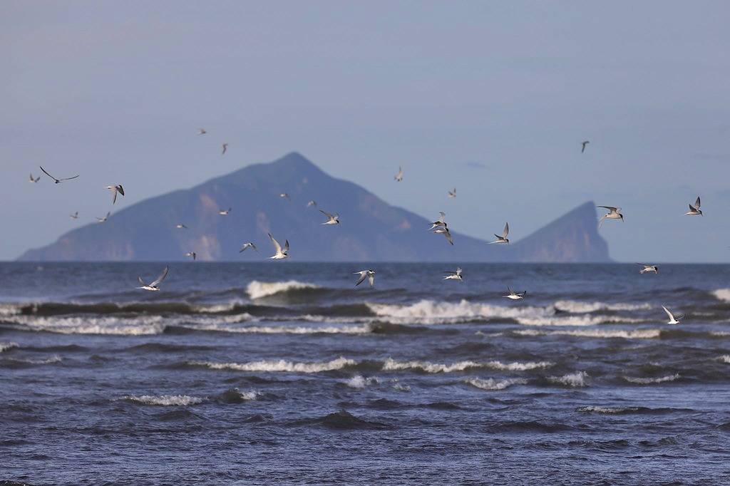 羅東林區管理處