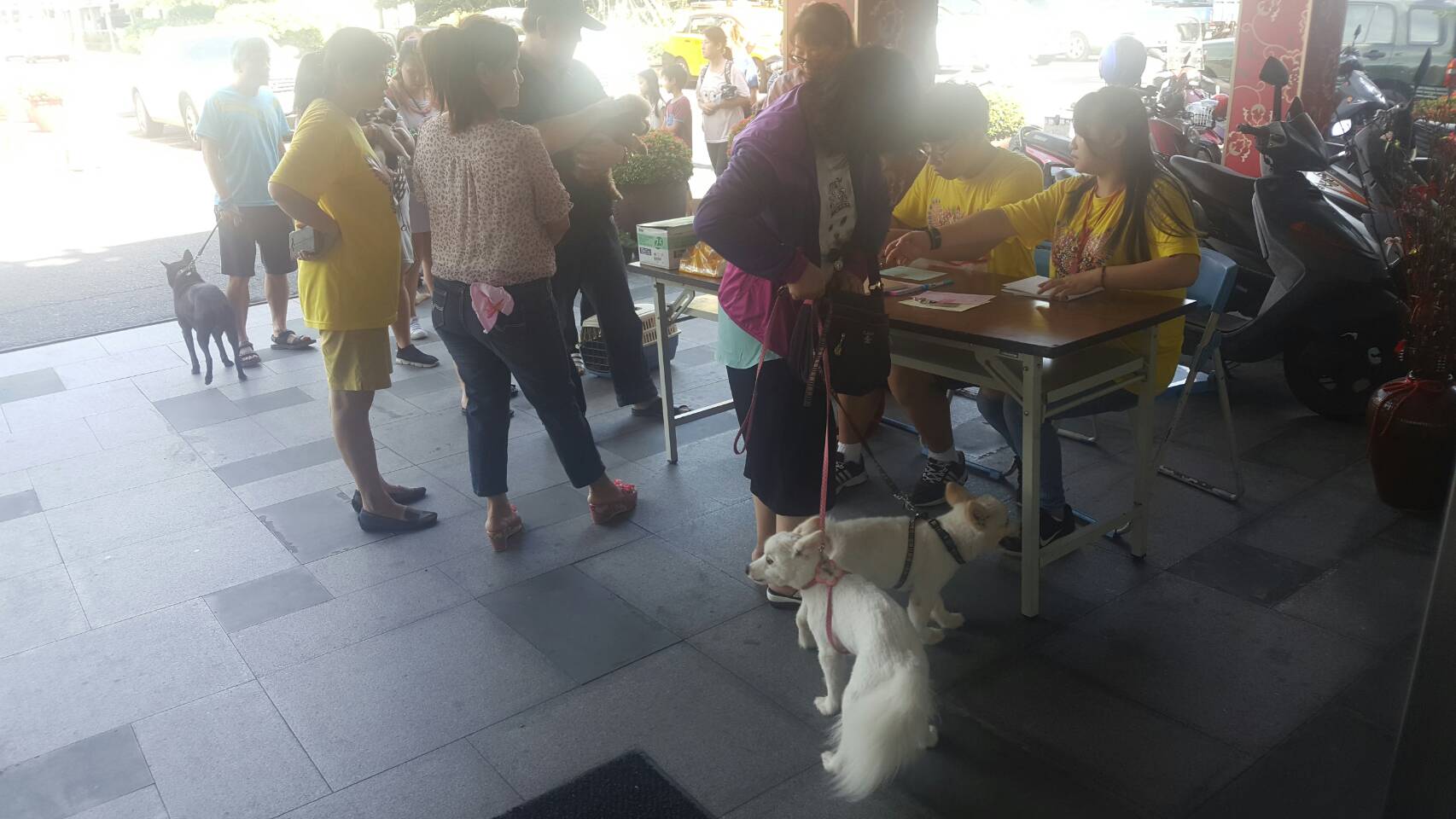 犬貓注射狂犬病疫苗  明日羅東鎮施打最後一天