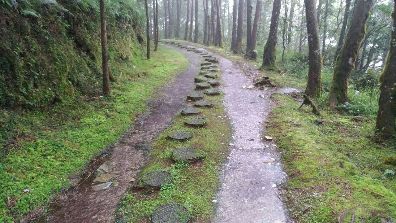 60歲女婦太平山山毛櫸步道摔傷 警消馳往救援
