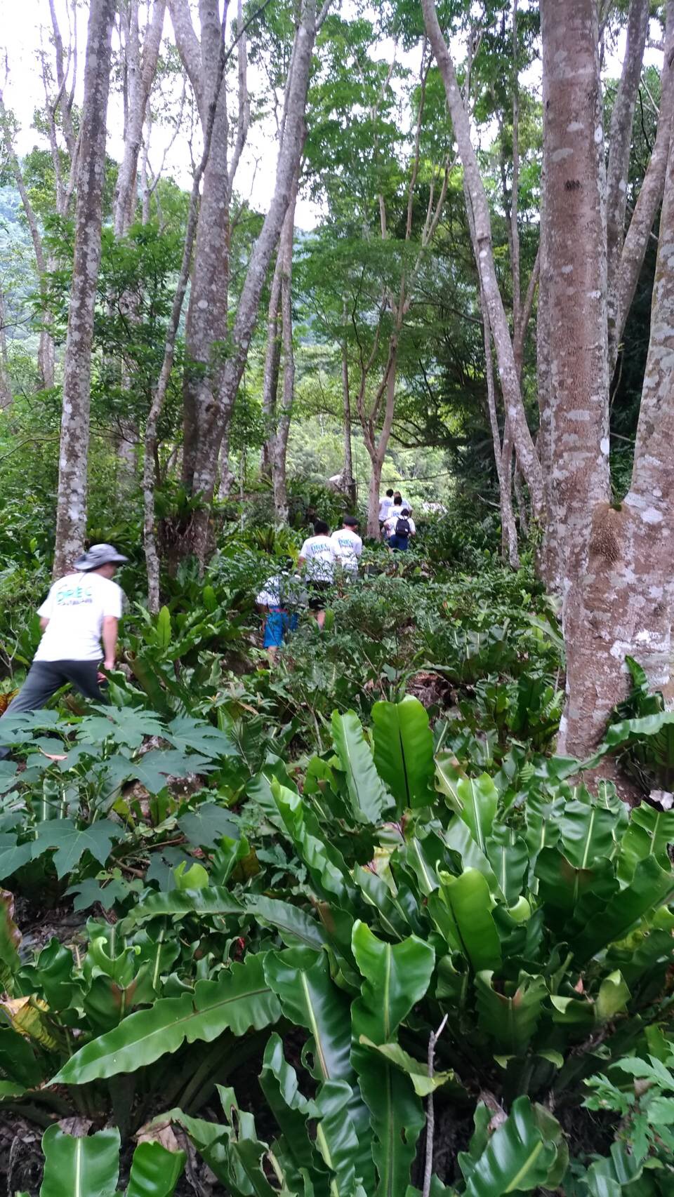 青少年防災工程營閉幕 學員親身體驗災變恐怖