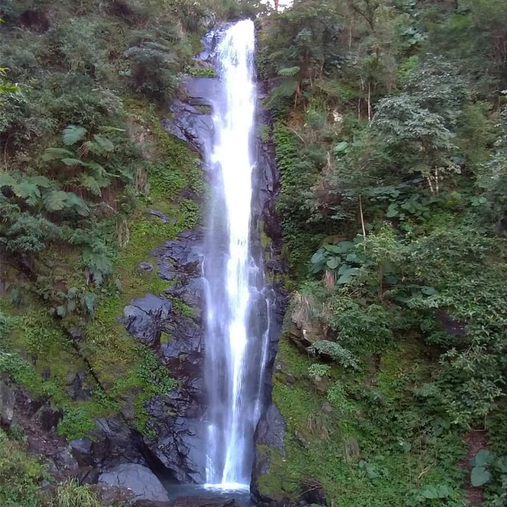 中山瀑布即將重新開園 林管處及冬山鄉公所又種花千棵