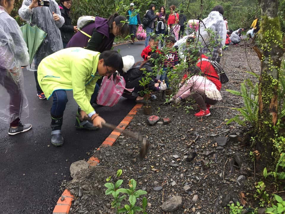 中山瀑布即將重新開園 林管處及冬山鄉公所又種花千棵