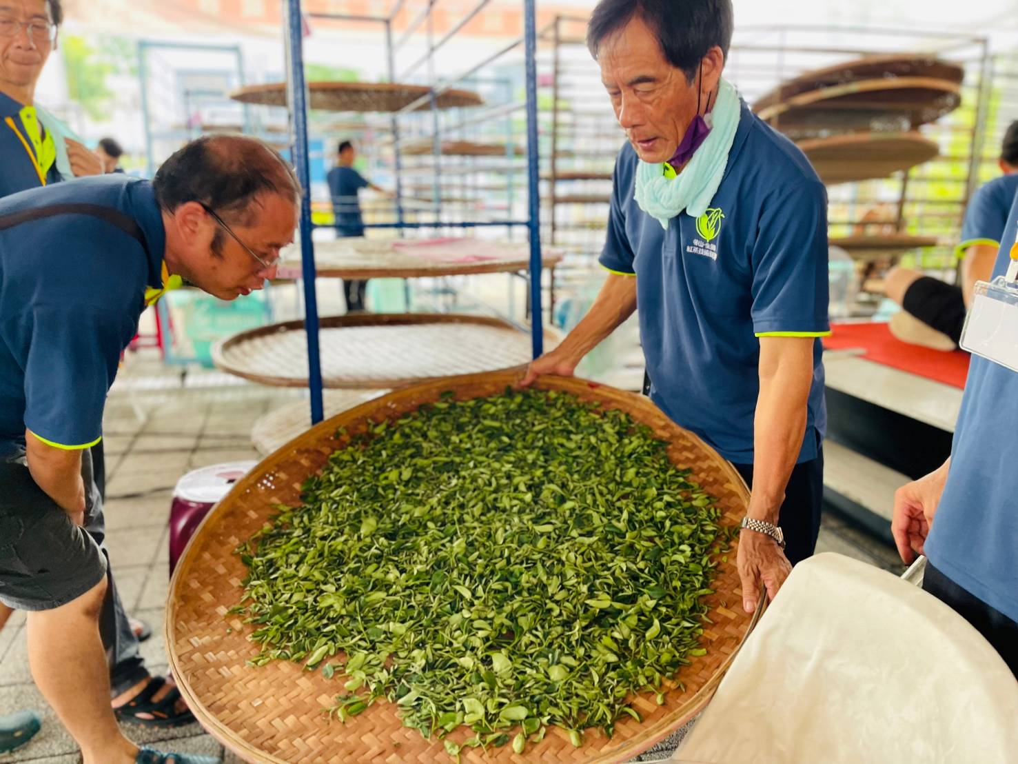 第七屆全國小葉種紅茶製茶技術競賽