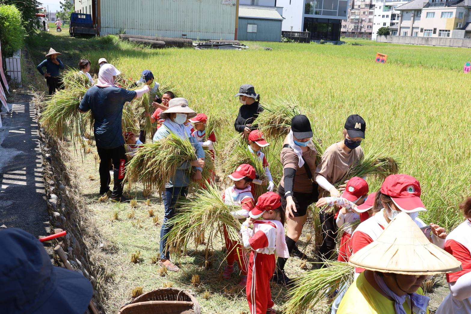 羅東鎮立幼兒園