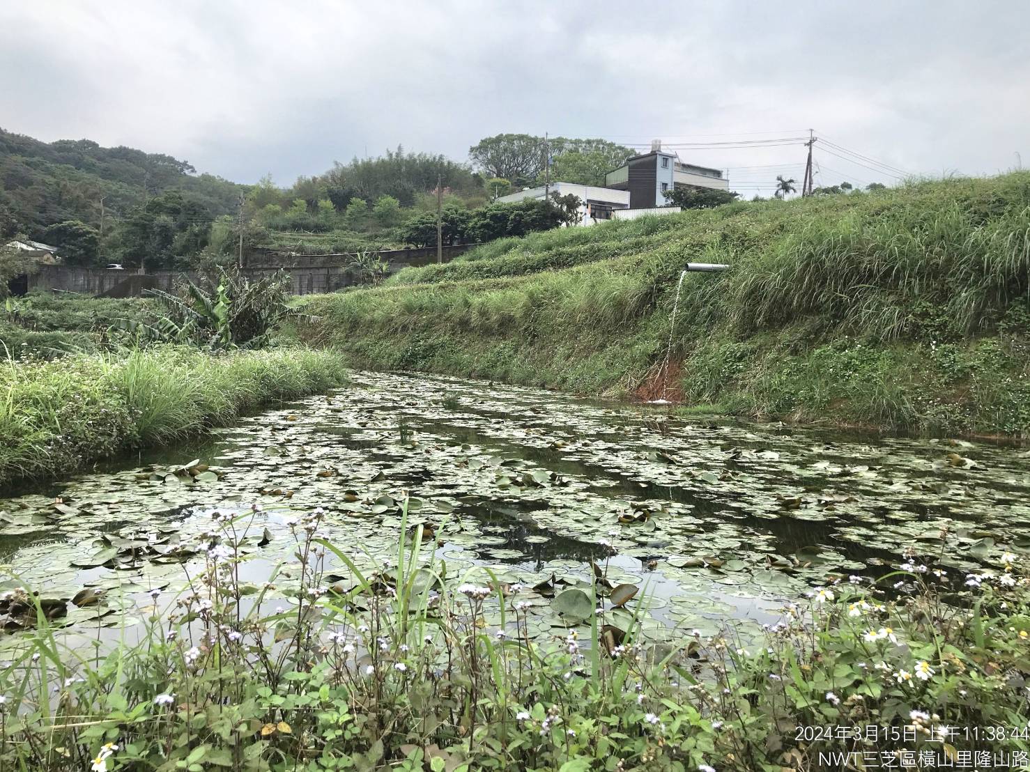 林業及自然保育署