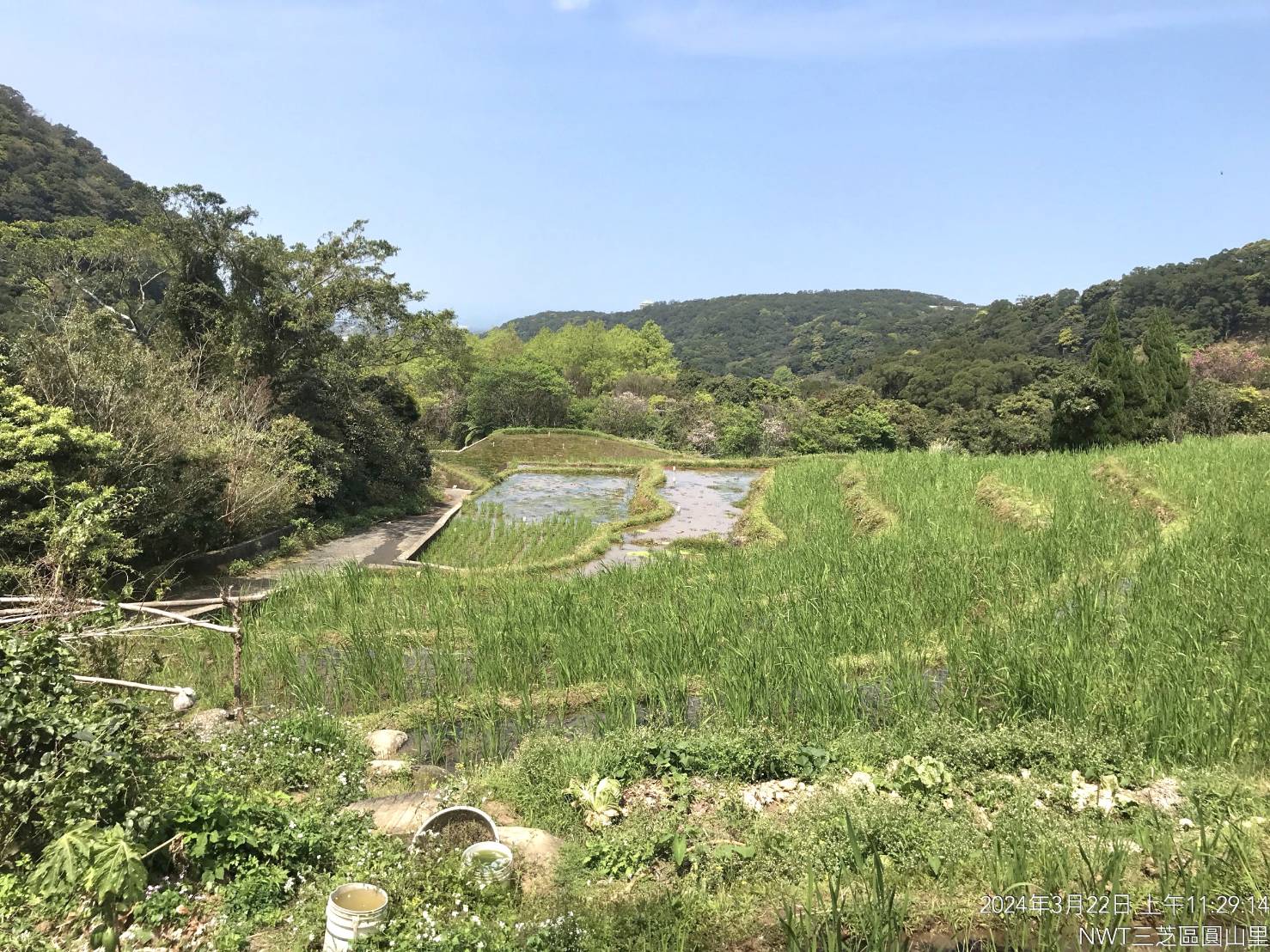 林業及自然保育署