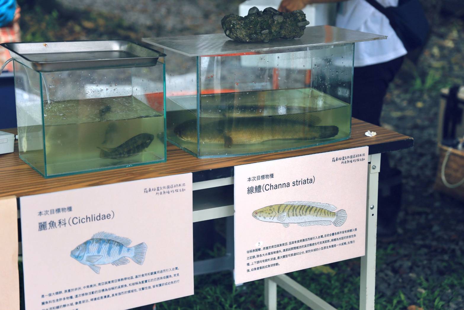 羅東林區管理處