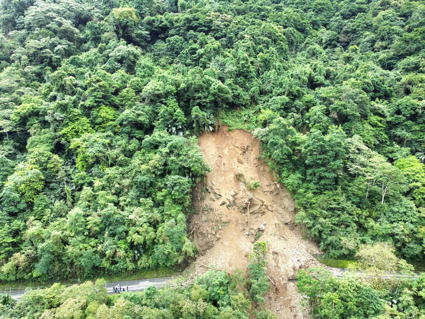太平山國家森林遊樂區