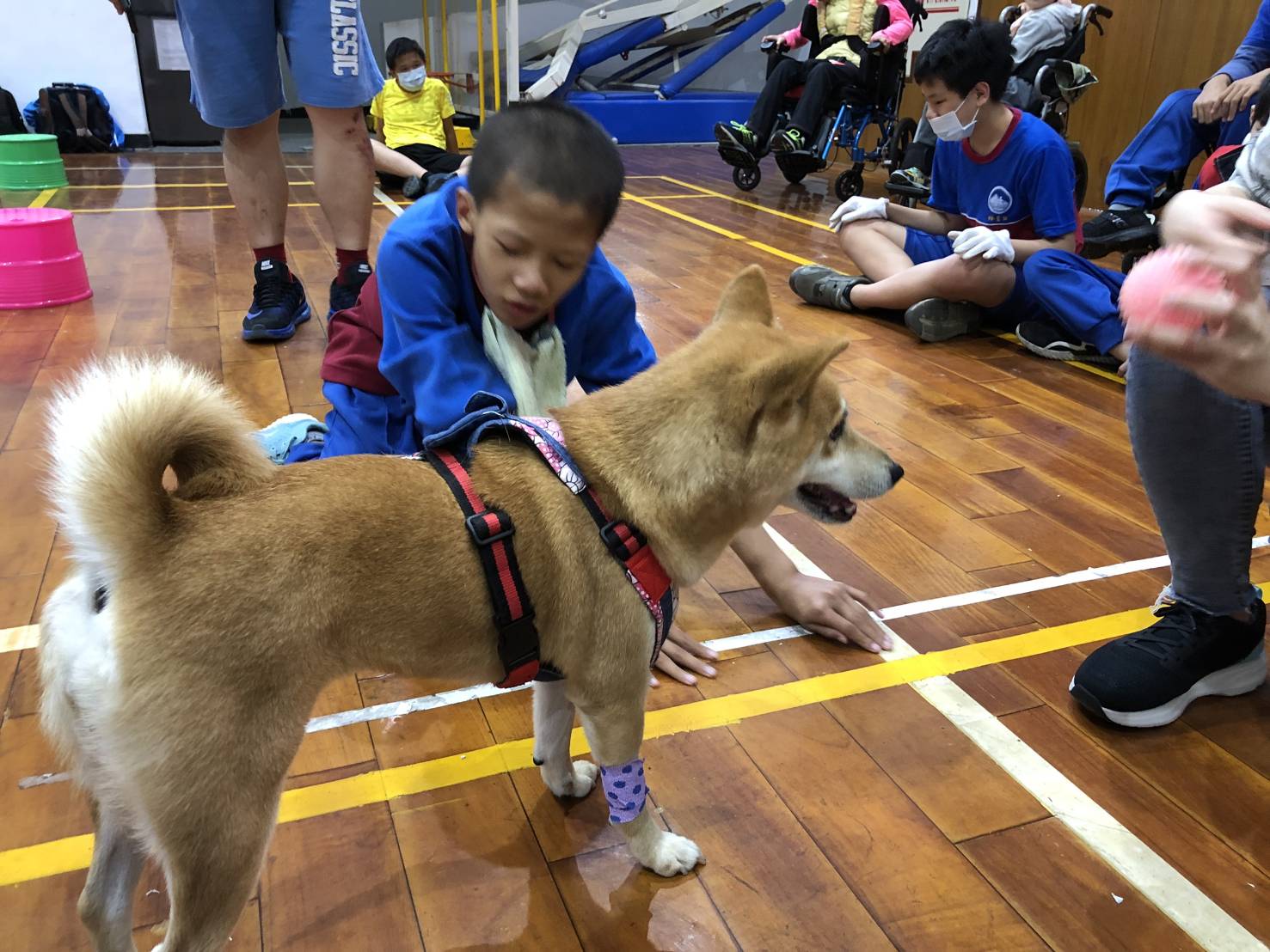 宜特學生開啟友善之窗