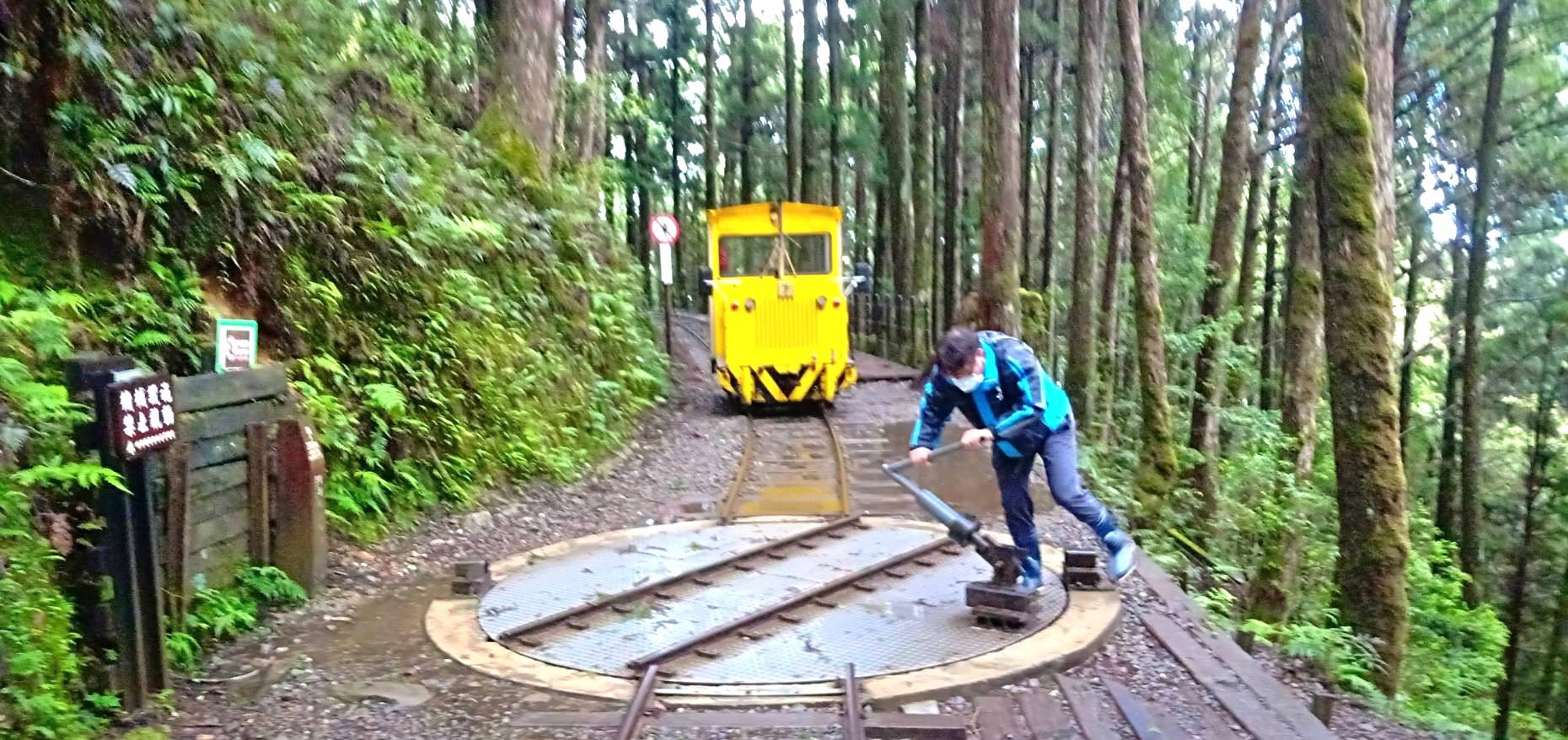 太平山國家森林遊樂區