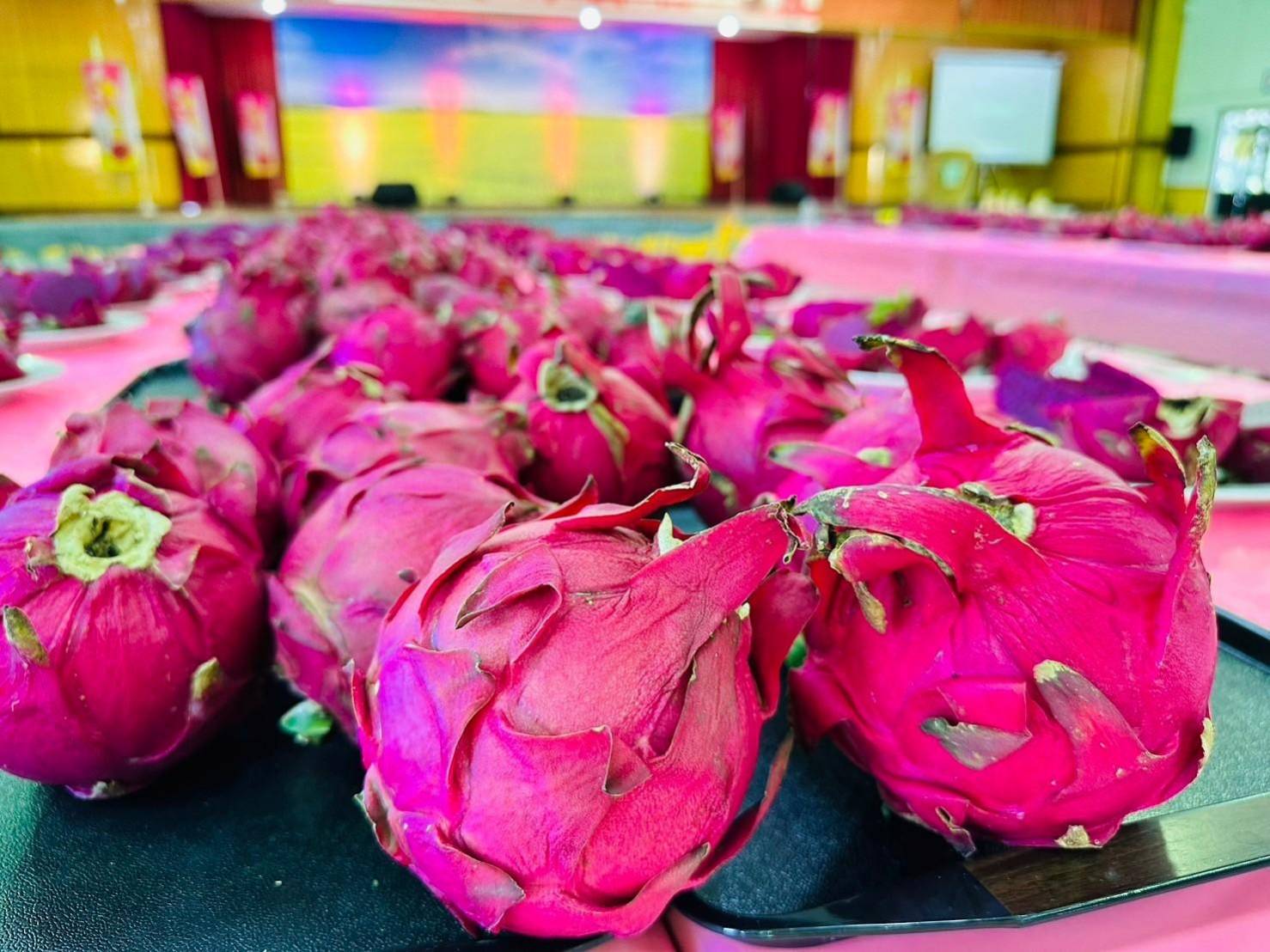 112年度蘭陽紅龍果品質評鑑競賽