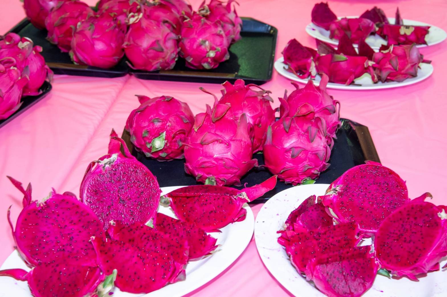 112年度蘭陽紅龍果品質評鑑競賽