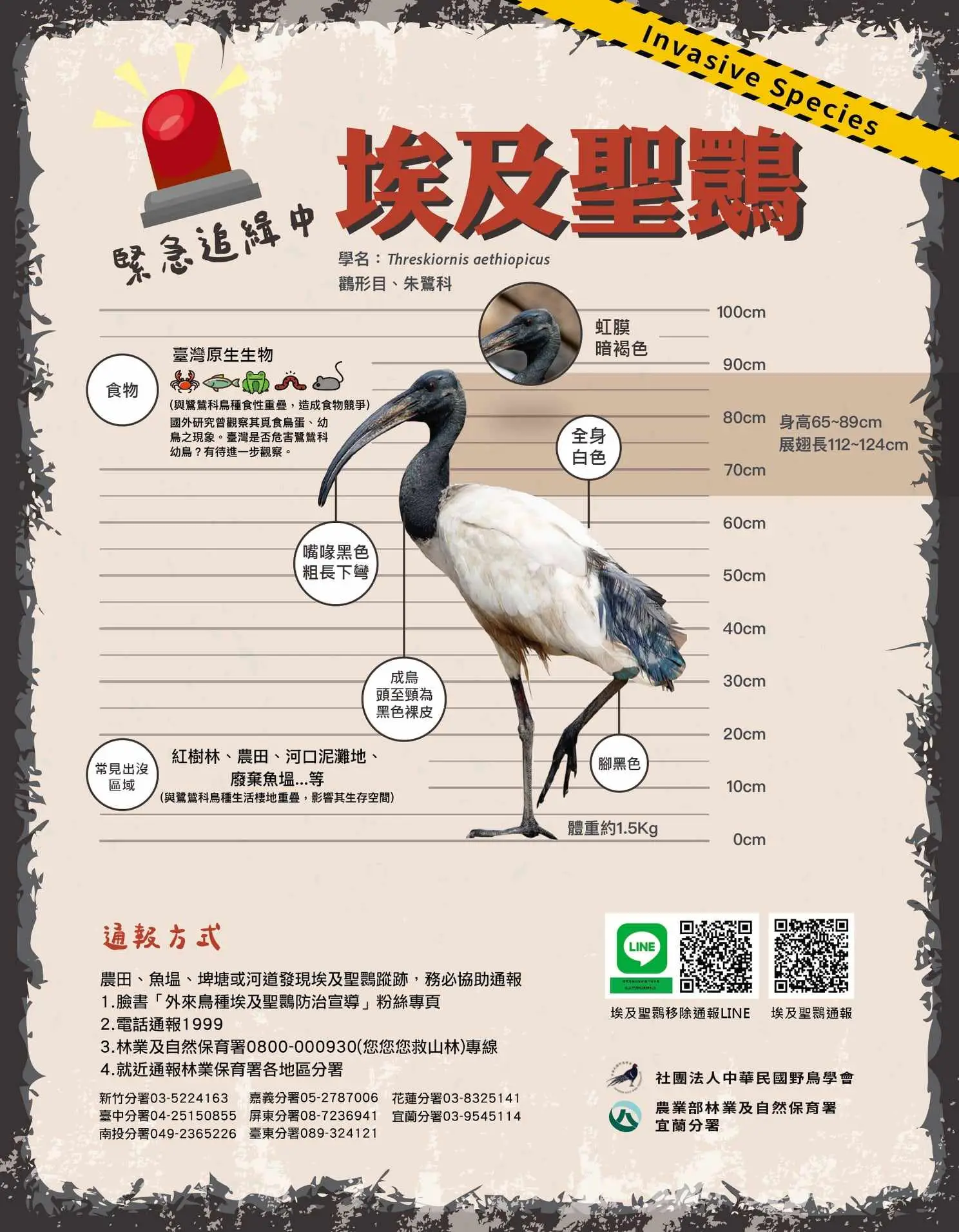 林業及自然保育署