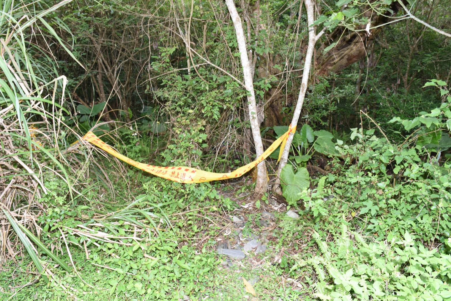 冬山山區產業道路發現無名屍