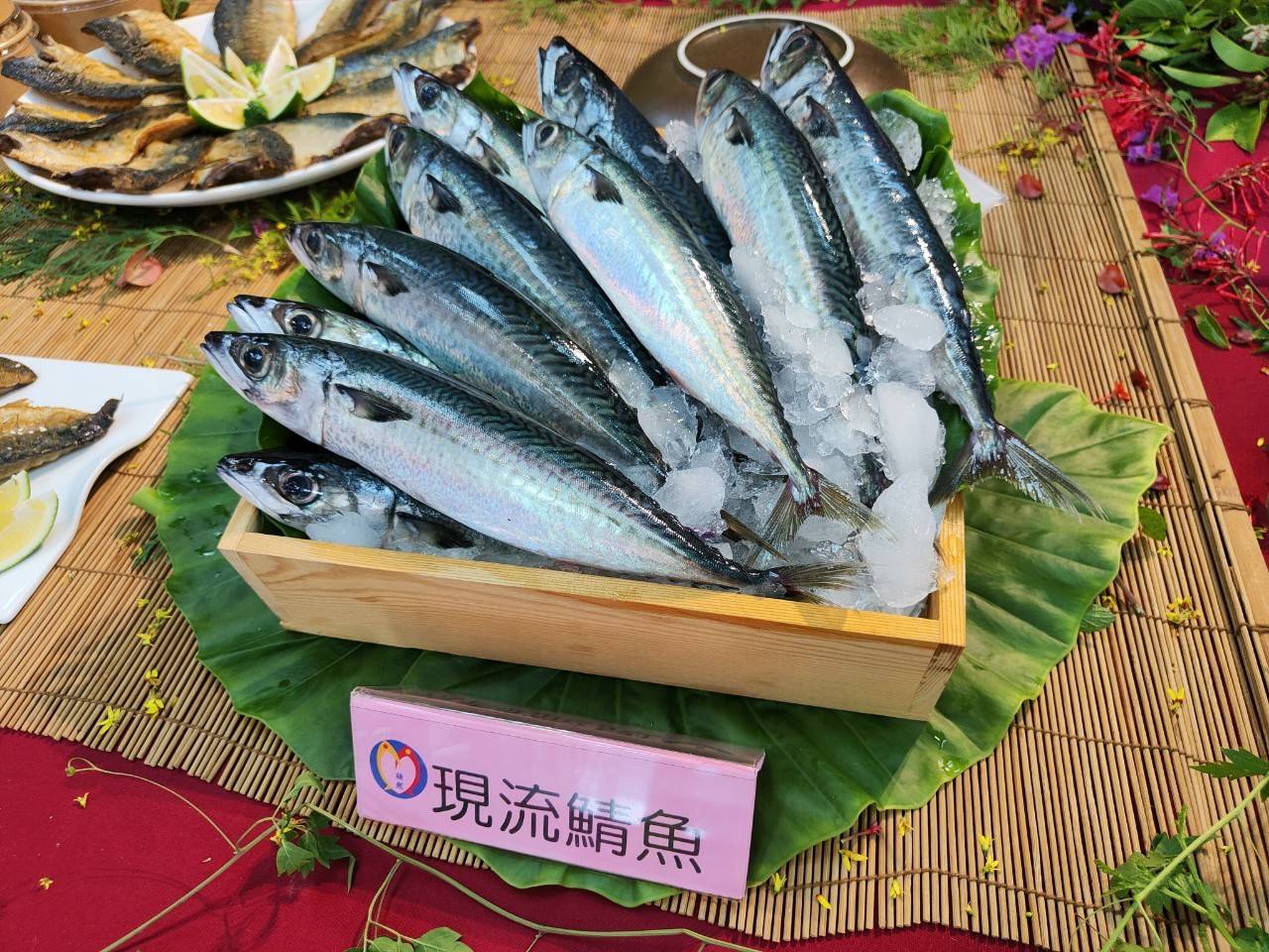 南方澳鯖魚節