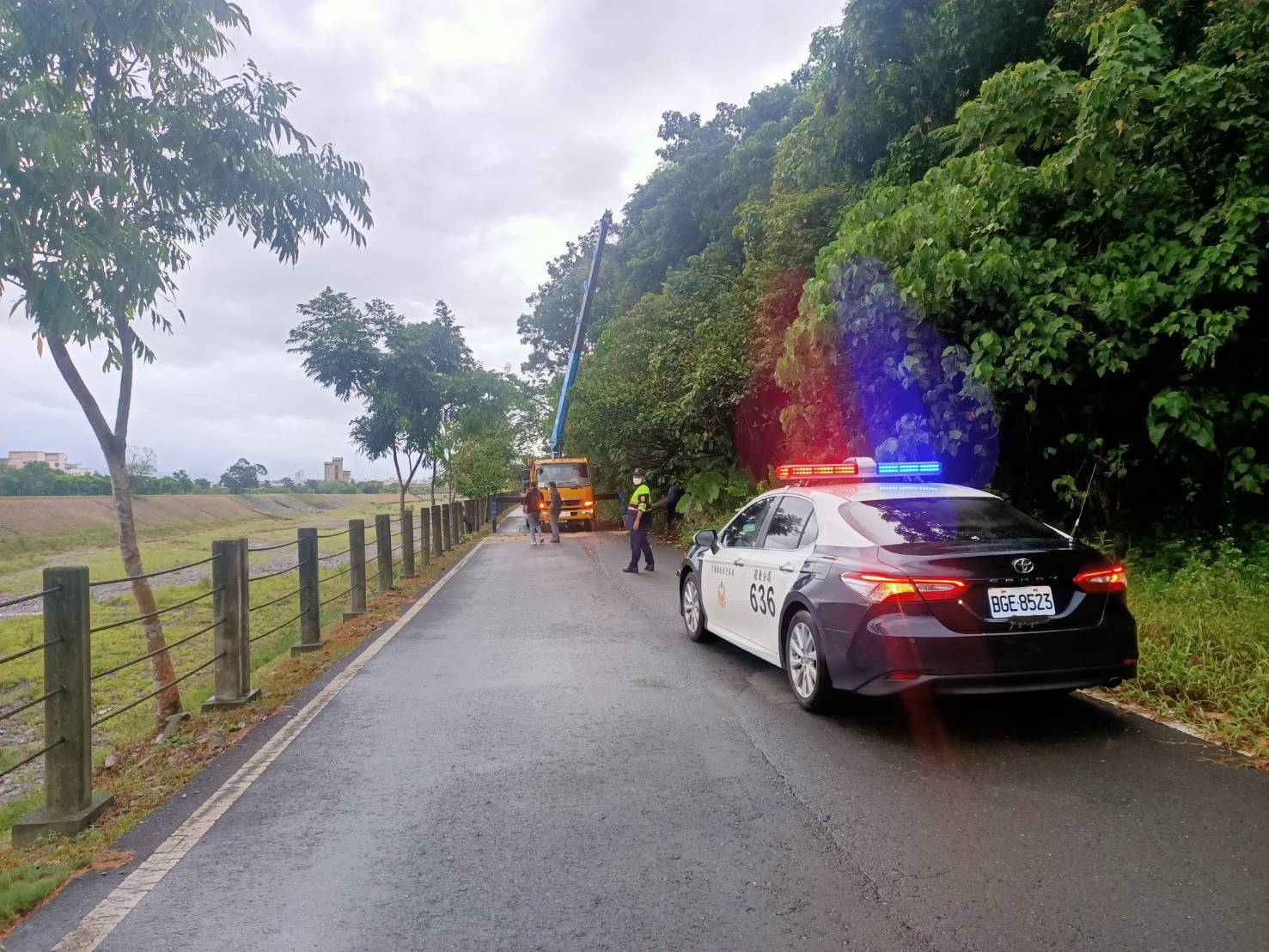 豪雨路樹應聲倒下