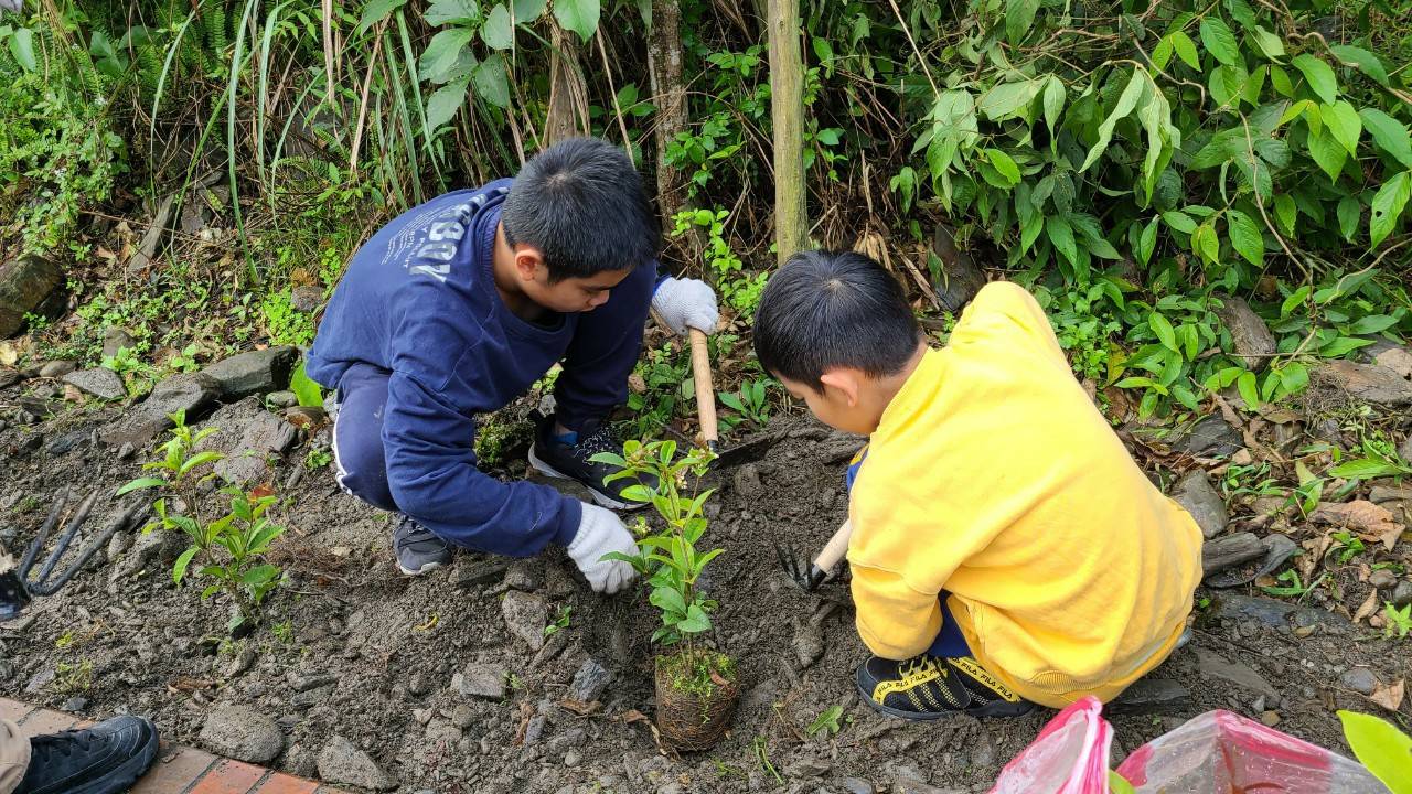 冬山鄉長率員工遍植櫻花