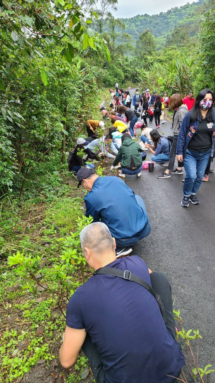 冬山鄉長率員工遍植櫻花