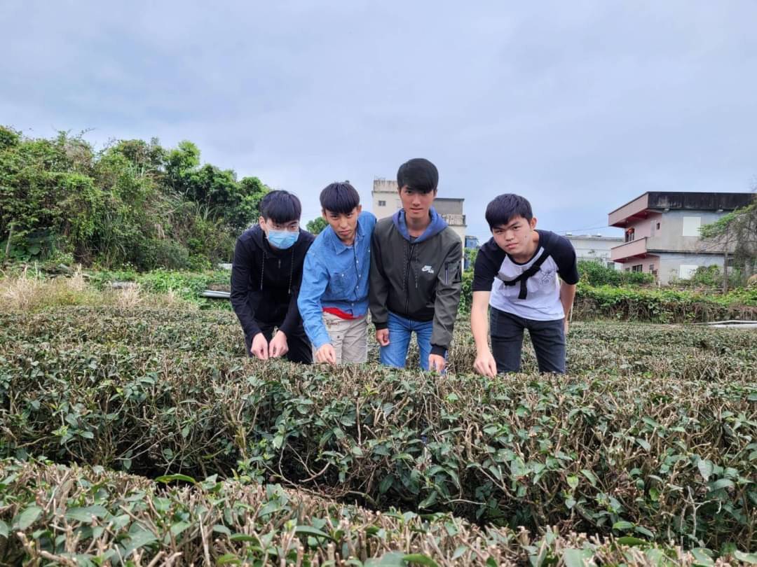 宜大學生體驗一天茶農