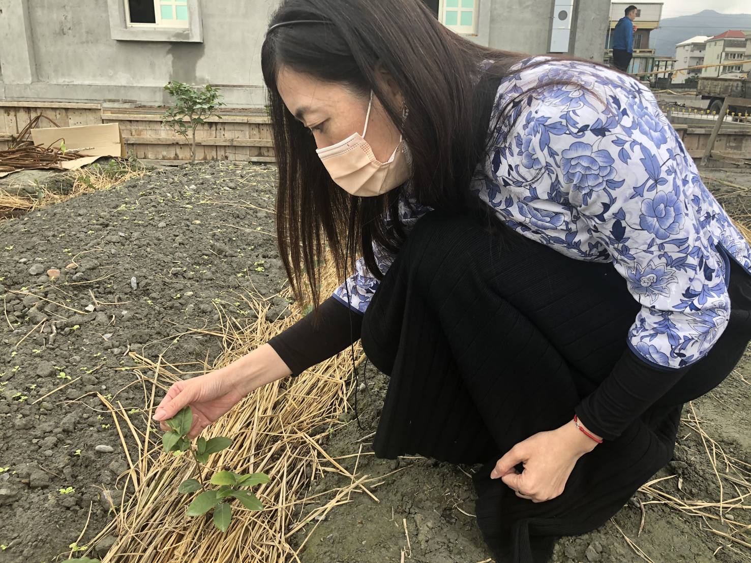 宜大學生體驗一天茶農