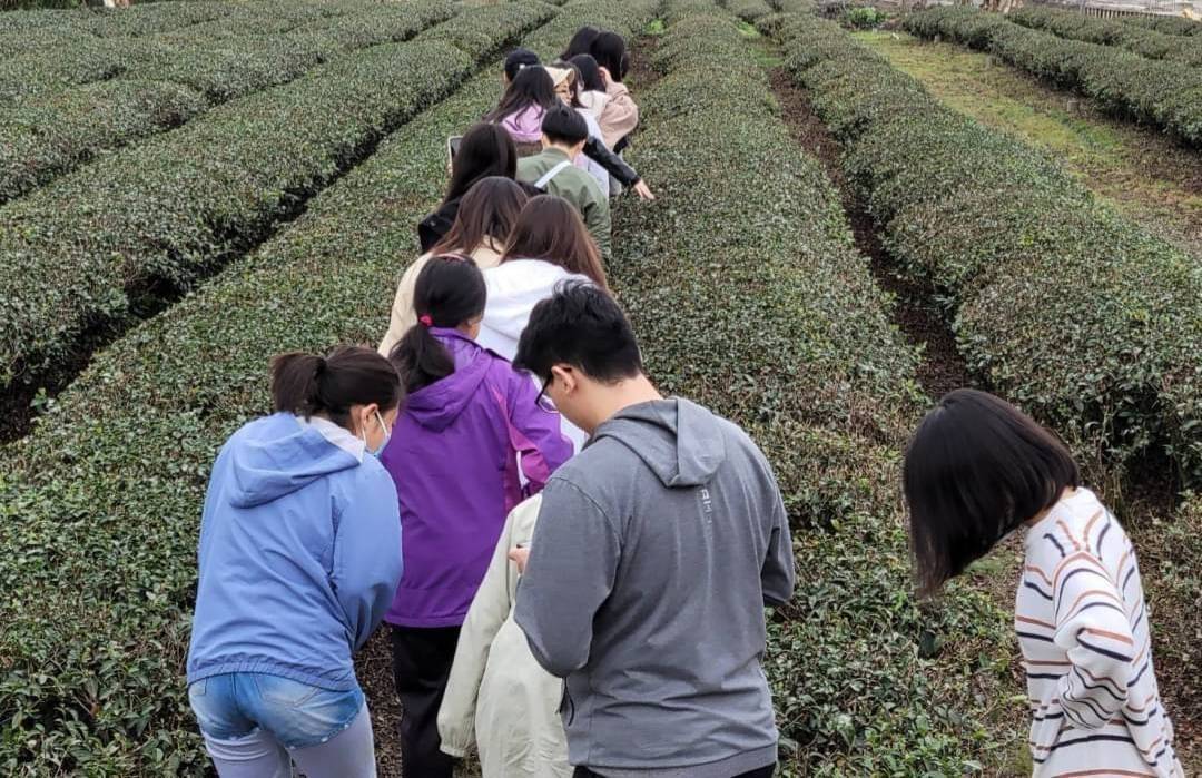 宜大生茶農新體驗