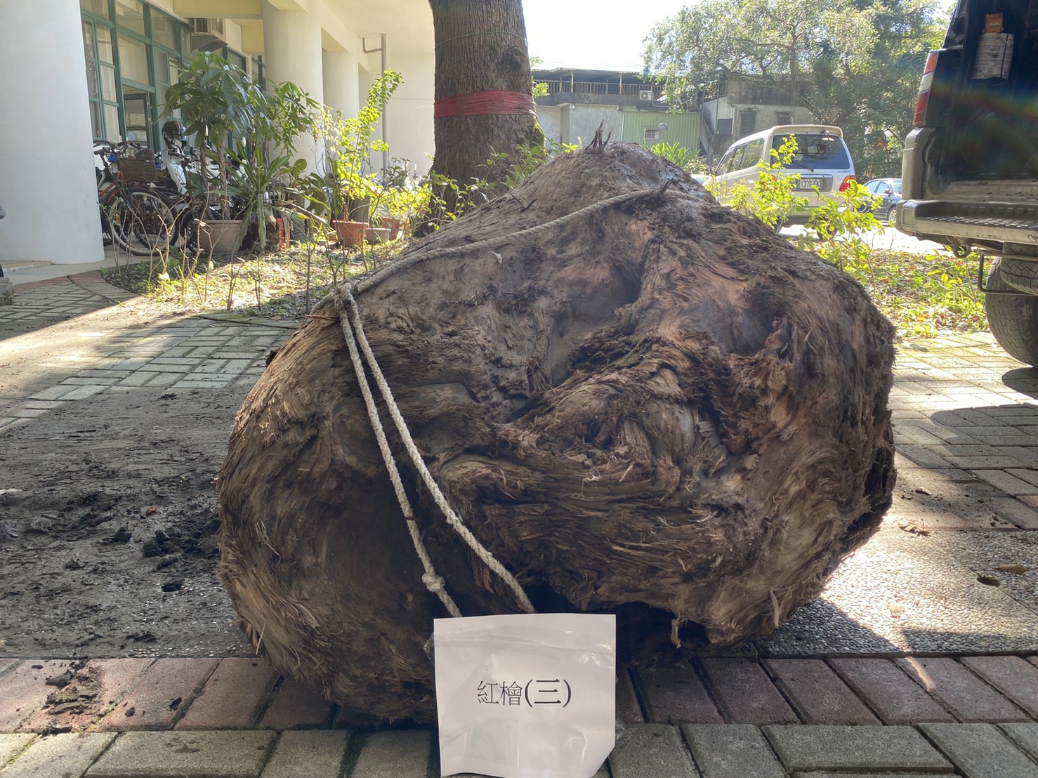 三星警方逮獲山老鼠三嫌