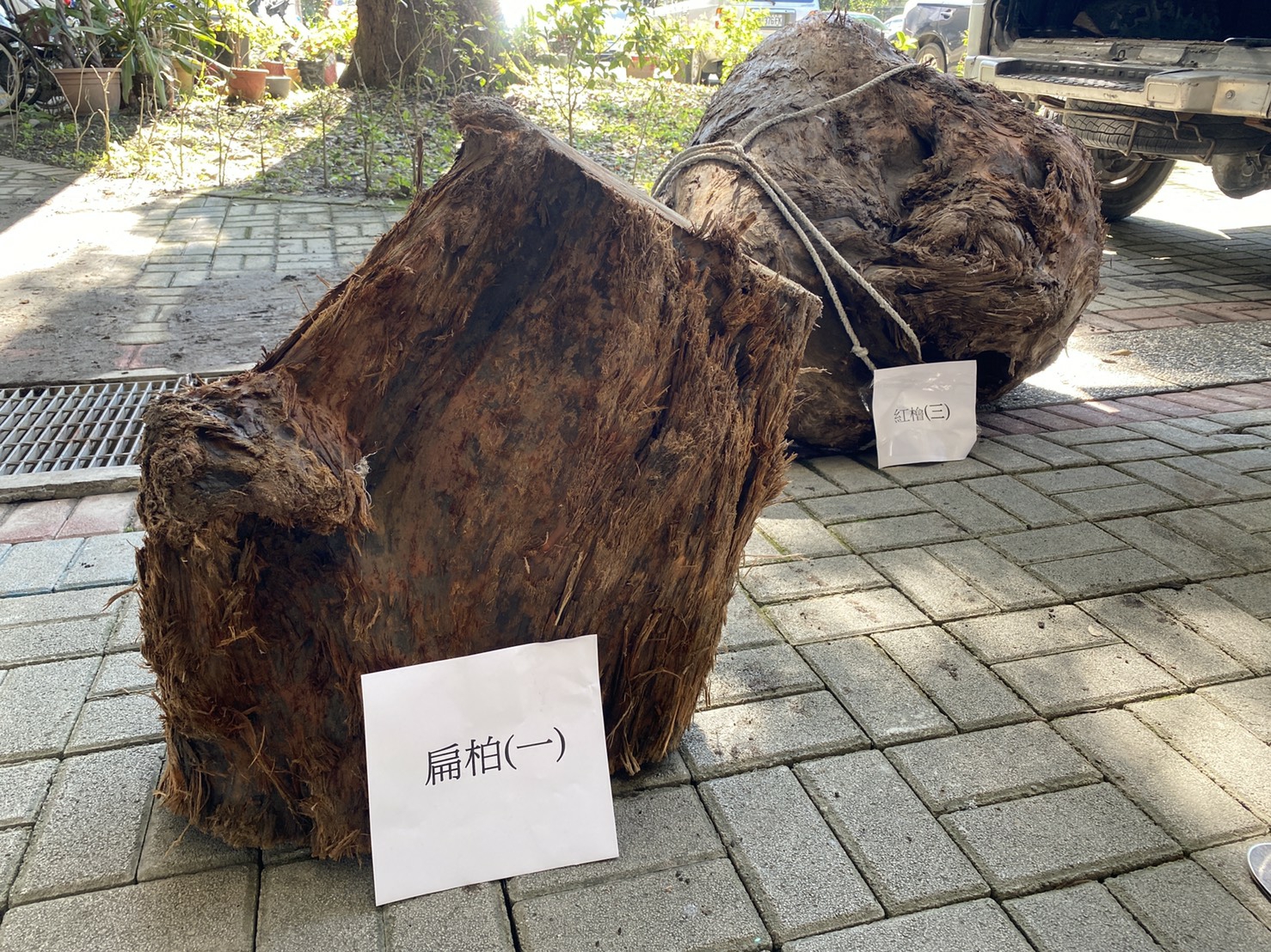 三星警方逮獲山老鼠三嫌