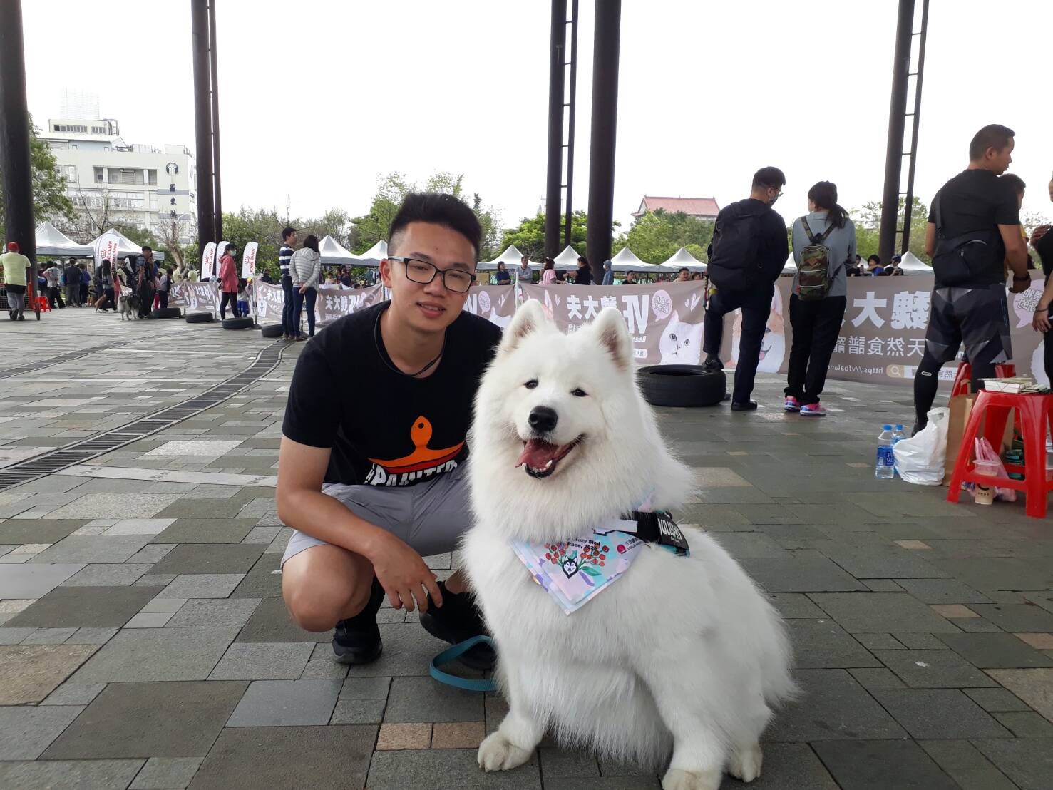 2020哈士奇雪橇大賽 全國近200隻狗狗參與比賽