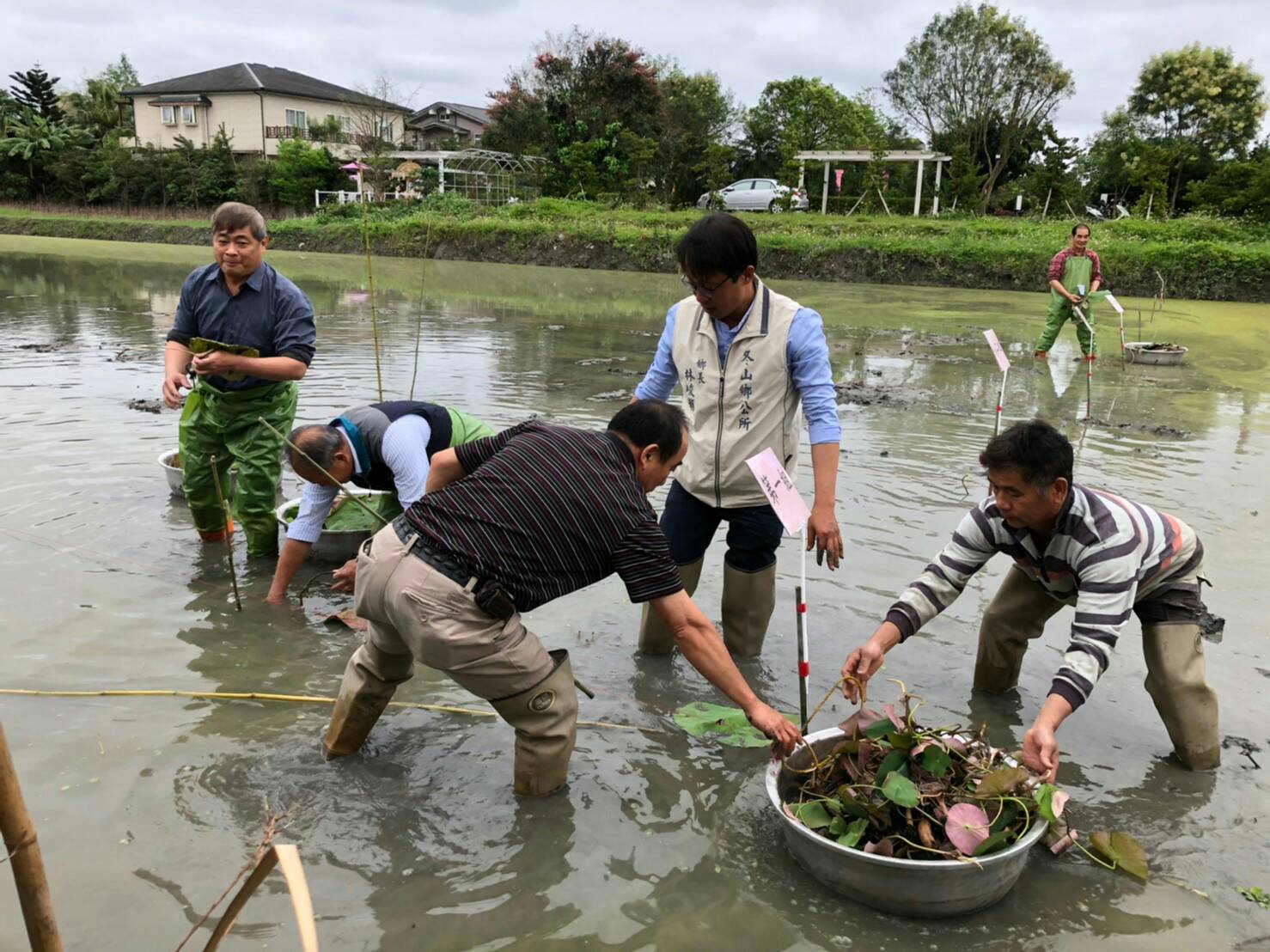 青蛙裝下田種荷趣  冬山河四季農遊結合觀光休閒產業