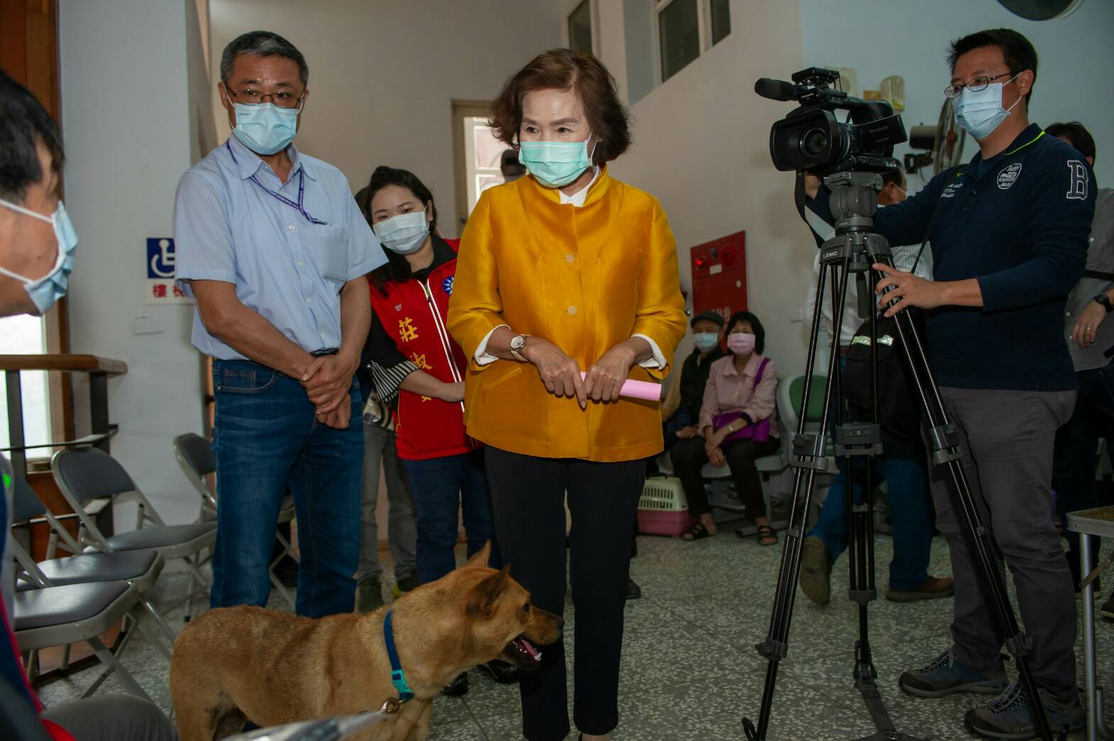 「瘋狗母」、「貓叫春」流浪貓犬七年減量80% 源頭絶育功不可沒