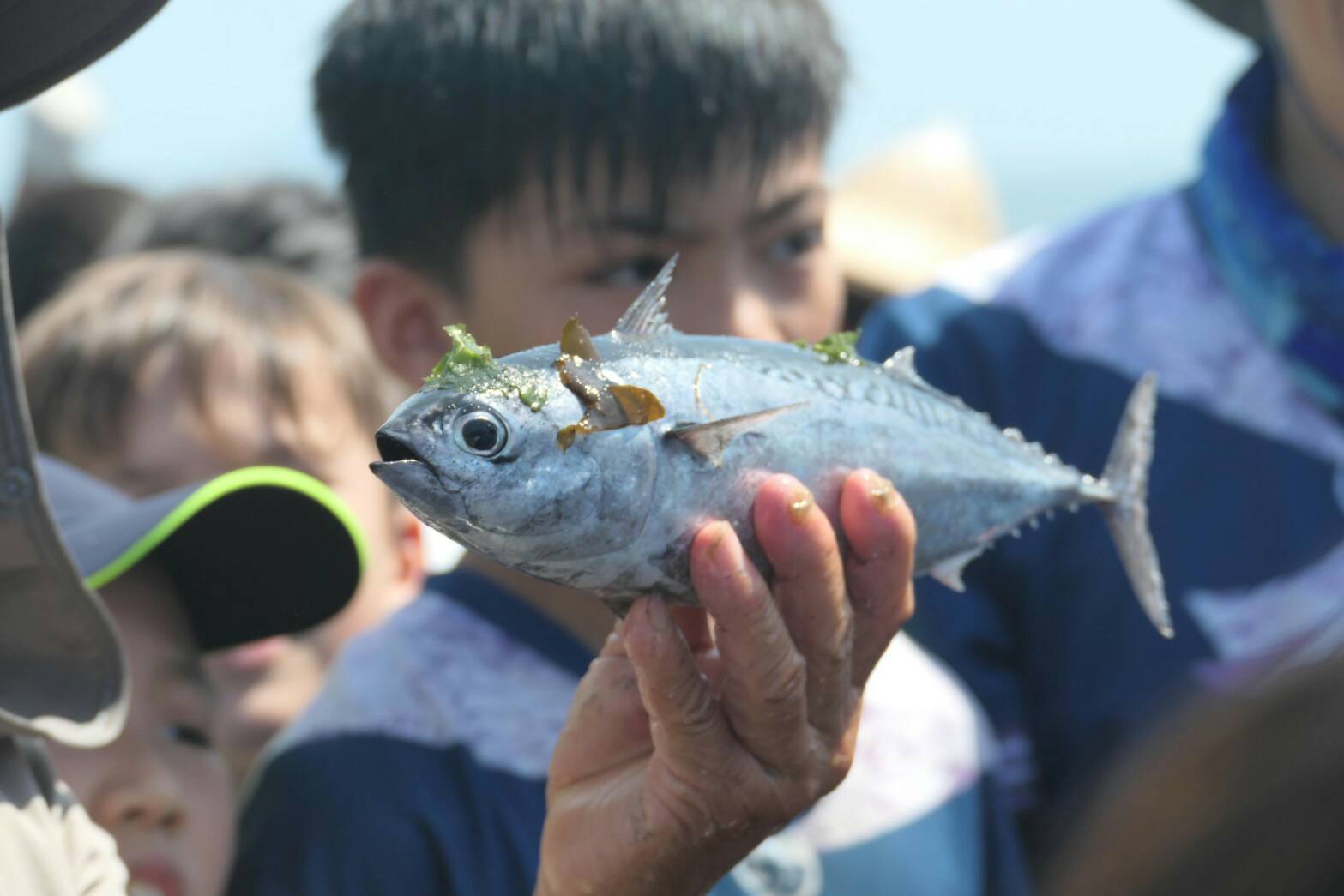 岳明國小與無尾港文教結合師生、居民 成立小燕鷗守護巡守隊