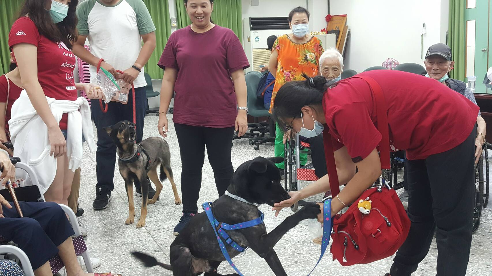 心靈療癒之旅 老康泰日照中心長者訪動物中途之家