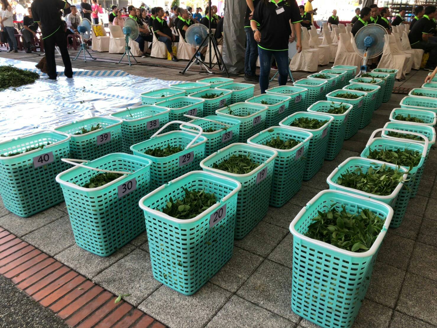 全國紅茶製茶技術競賽成績出爐 宜蘭縣蕭堂林獲冠軍殊榮