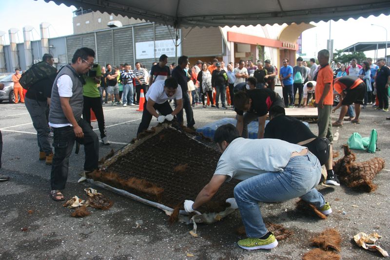 拆床墊技藝競賽