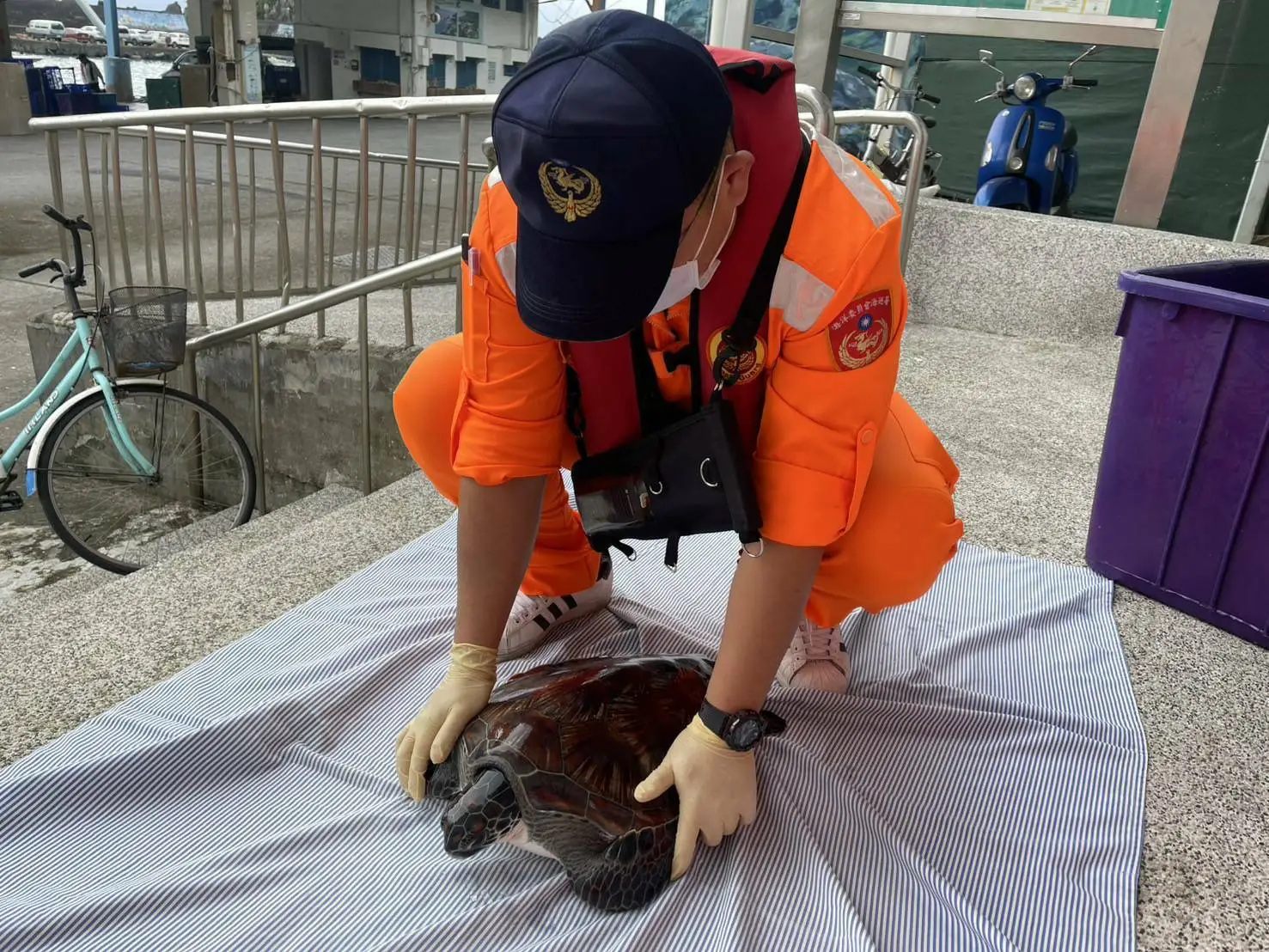 海巡署北部分署第一岸巡隊