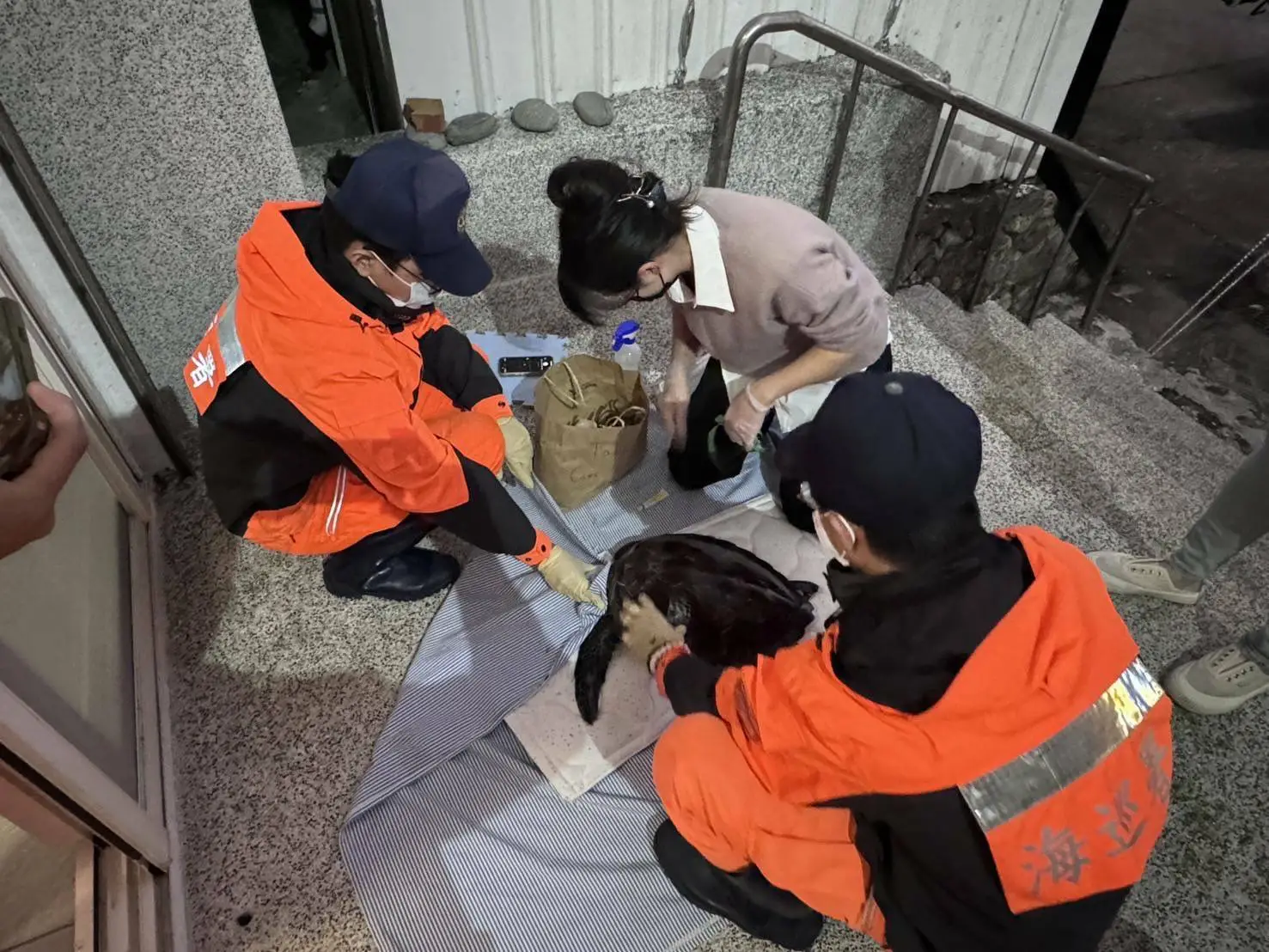 海巡署北部分署第一岸巡隊