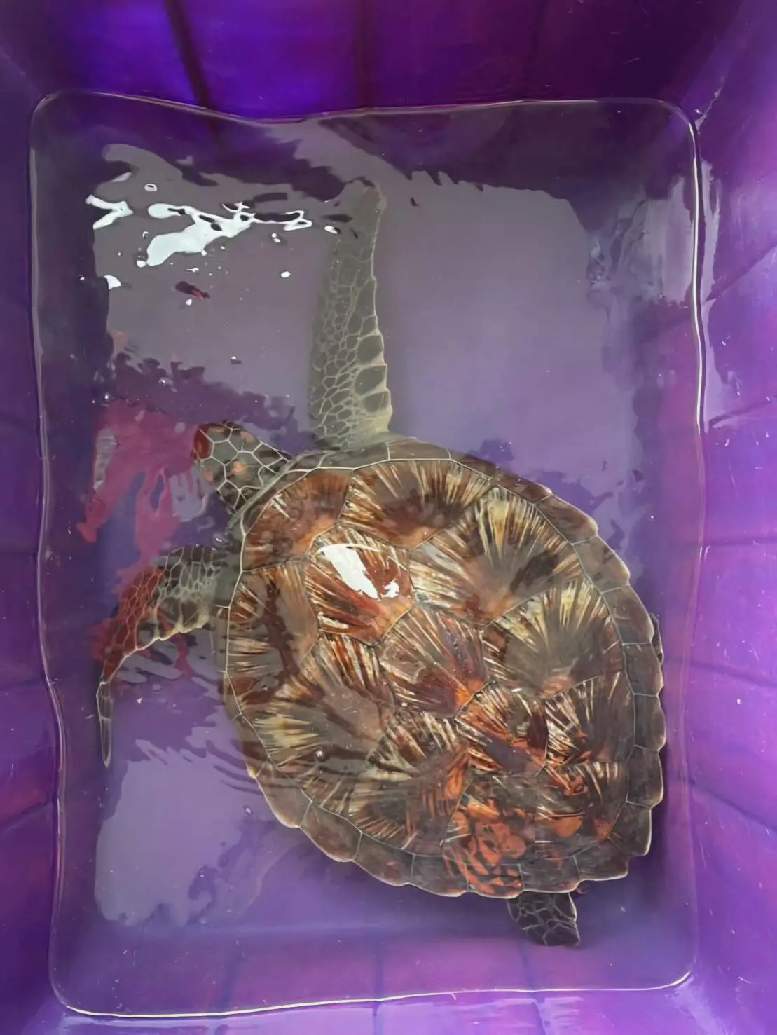 海巡署北部分署第一岸巡隊