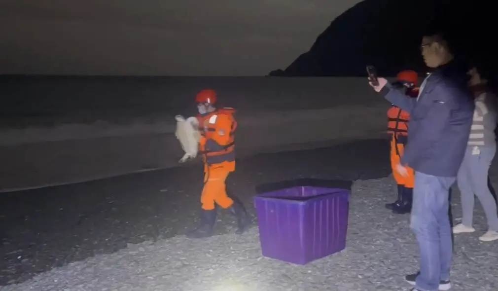 海巡署北部分署第一岸巡隊