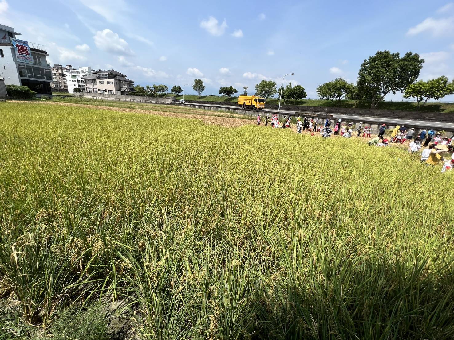  羅東鎮立幼兒園