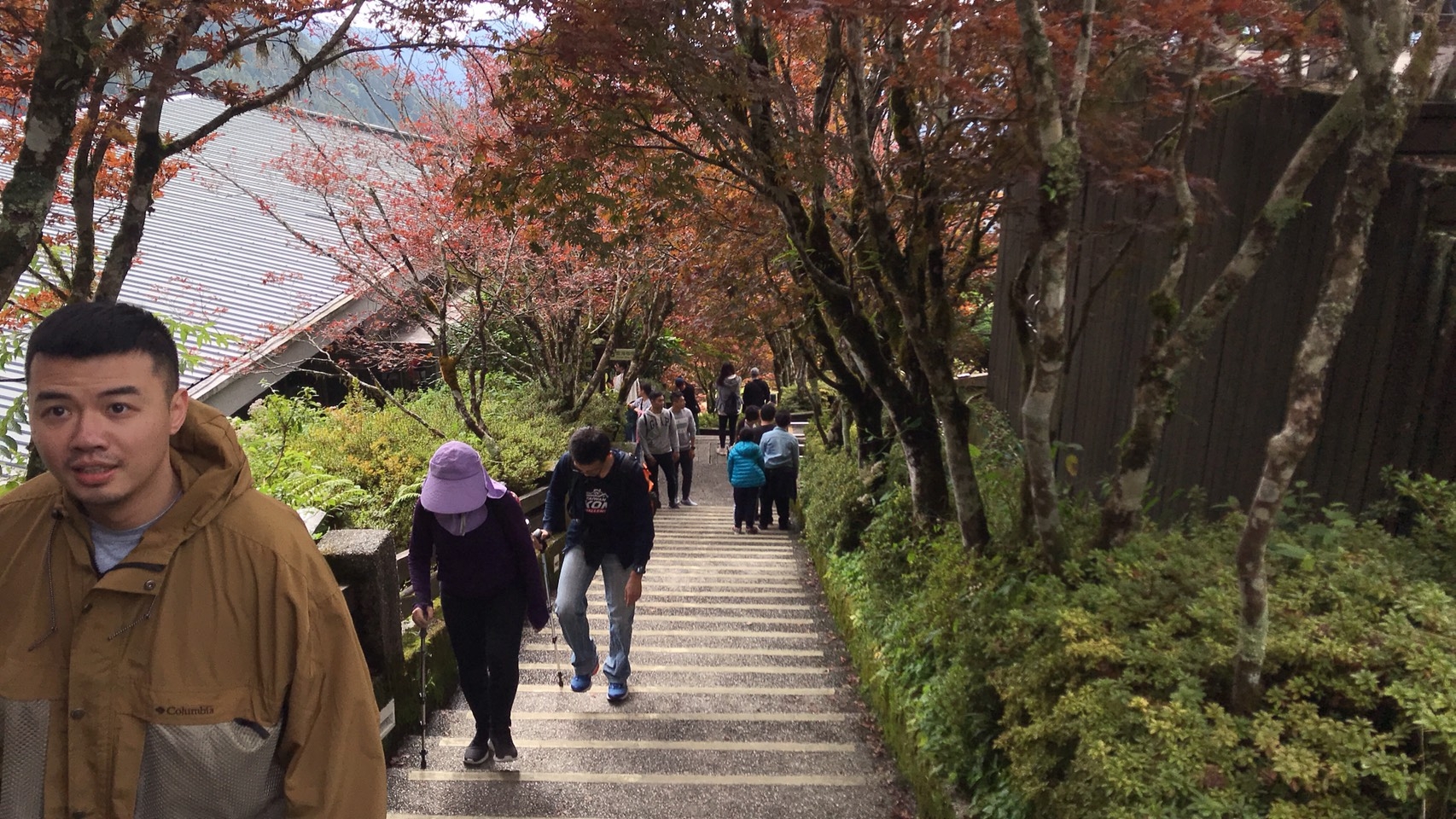 太平山遊客摔傷 