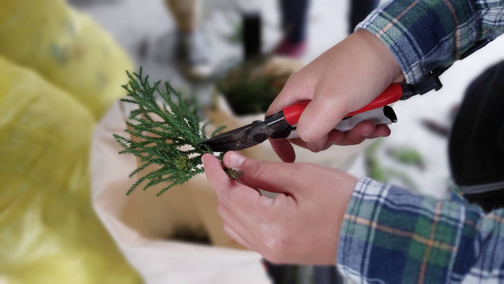羅東林區管理處