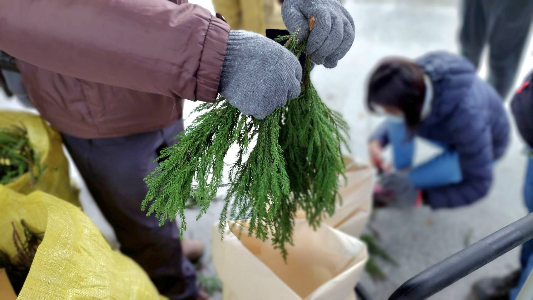 羅東林區管理處
